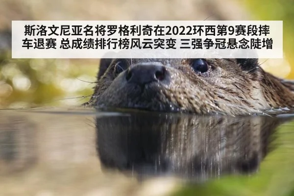 斯洛文尼亚名将罗格利奇在2022环西第9赛段摔车退赛 总成绩排行榜风云突变 三强争冠悬念陡增